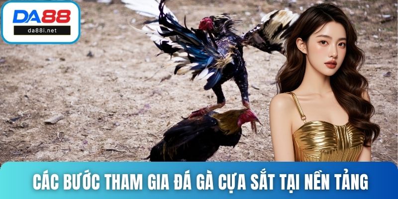 Các bước tham gia đá gà cựa sắt tại nền tảng