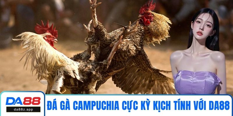 Đá gà Campuchia cực kỳ kịch tính với DA88