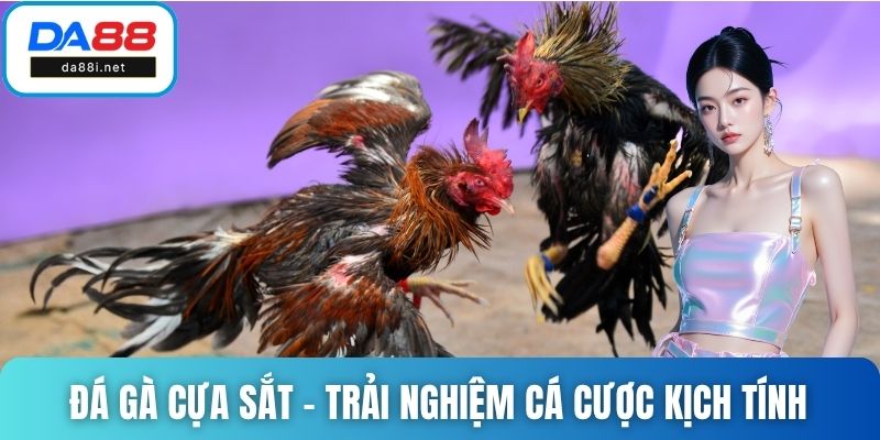 Đá Gà Cựa Sắt – Trải Nghiệm Cá Cược Kịch Tính Tại DA88