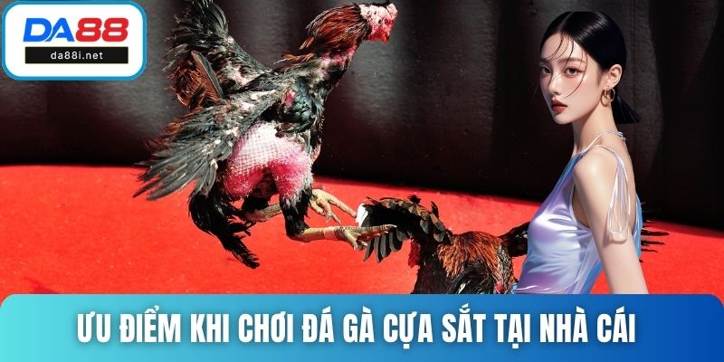 Ưu điểm khi chơi đá gà cựa sắt tại nhà cái